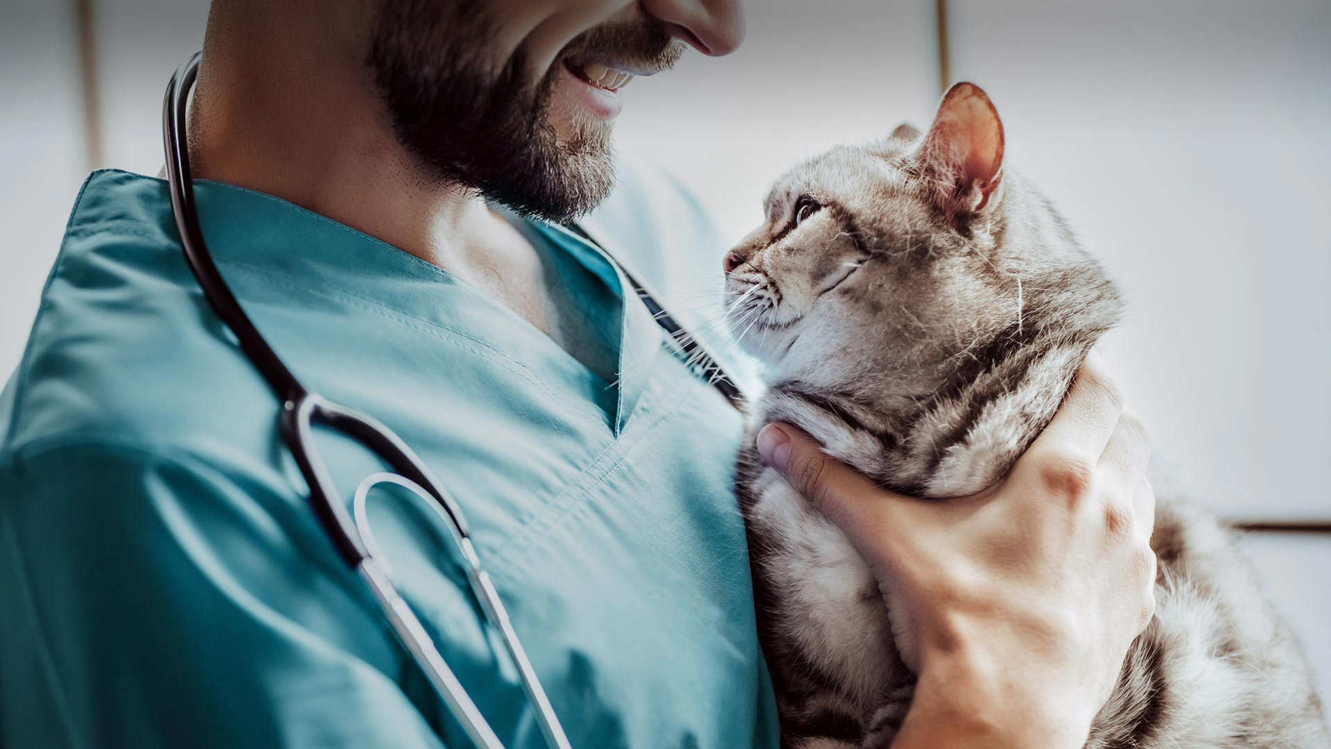 Saruhanlı Veteriner